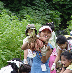 Sanedeule Village Experience